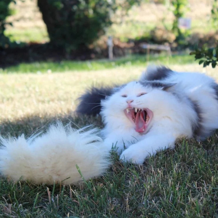 Premium Katzenspielzeug Zwitscherkissen aus nachhatligem Schaffell